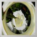 Search for creamy art White