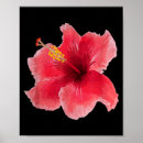 Search for hot women posters Retro