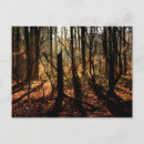 Search for winter trees postcards Forest