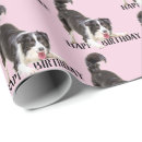 Search for collie wrapping paper Black and white