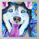 Search for siberian husky art Animal