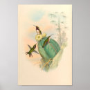 Search for feathered birds art Flowers