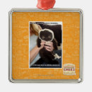 Search for dumpster christmas tree decorations I can has cheezburger