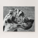 Search for great dane dog puzzles Black and white