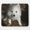 Search for spitz mousepads Cute
