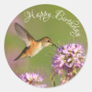 Search for green hummingbird stickers Purple