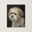 Search for shih tzu dog puzzles Nature