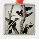Search for audubon birds christmas tree decorations John