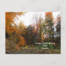 Search for fallen tree postcards Red