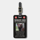 Search for accessibility accessories Service dog