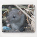 Search for rat mousepads Rodent