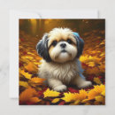 Search for apso cards Animals