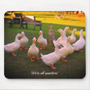 Search for beautiful mousepads Nature photography