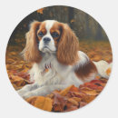 Search for dog decor stickers Pet