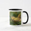 Search for gregs mugs Usa