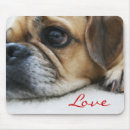 Search for snuggle electronics Pug