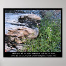 Search for driftwood posters Photography