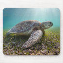 Search for dusk mousepads Beach