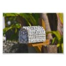 Search for clam shell art Shells