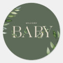 Search for botanical floral stickers Eucalyptus