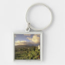 Search for west key rings Architecture