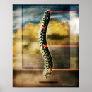 Search for topics posters Human body part