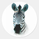 Search for zebra head stickers Animal