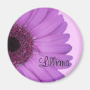 Search for gerberas magnets Pink