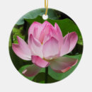 Search for lotus christmas tree decorations Nature