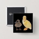 Search for cute duckling accessories Baby duck