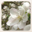 Search for apple blossom barware Nature