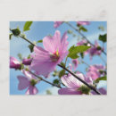 Search for flower tree postcards Summer