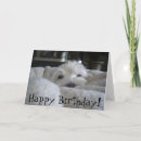 Search for westie cards Cute dog