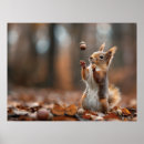 Search for cute squirrel posters Animal