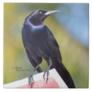 Search for raven tiles Crow