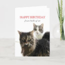 Search for kitty cat birthday cards Kitties
