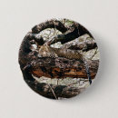 Search for leopard badges Animal