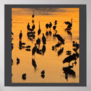 Search for bird silhouettes posters Sunset