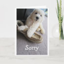 Search for apology humour cards Cute