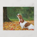 Search for sounds postcards For kids