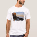 Search for split rock lighthouse tshirts Chuck haney