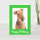 Search for airedale terrier dog cards Puppy