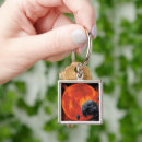 Search for galactic key rings Astronomy