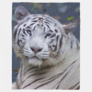 Search for white tiger gifts Beautiful