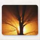 Search for light ray mousepads Rays