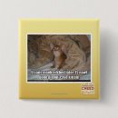 Search for bed badges I can has cheezburger