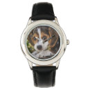Search for beagle watches Animals