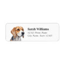 Search for beagle puppy return address labels Beagles