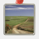 Search for fence christmas tree decorations Rural scene