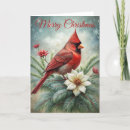 Search for cute cardinal cards Winter